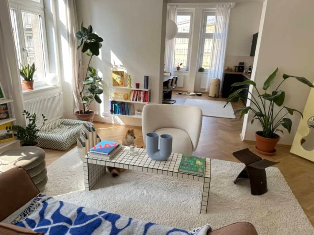 Czysty, jasny salon w mieszkaniu po usłudze sprzątania domów i mieszkań prywatnych – Eko Margaret